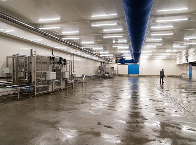 A Man Stands In A Spacious Room Beside A Conveyor Belt